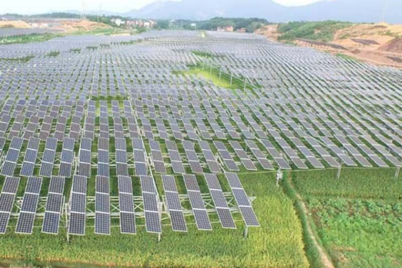 مؤسسة الفيصل درويش للتجارة العامة والاستيراد